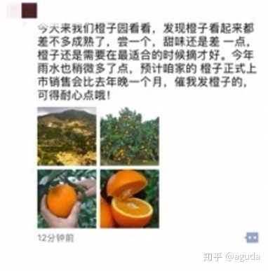 微信营销文字模版,迅速提升销量-第2张图片-90博客网 微信营销文字模版,迅速提升销量-第2张图片-90博客网