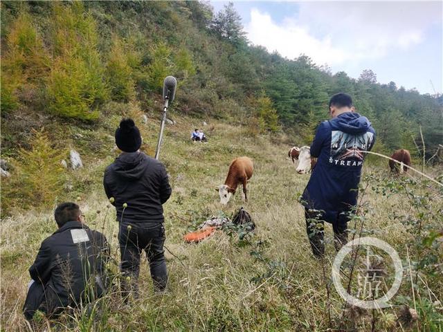 爆款播放量超2000万!这个接地气的抖音号运营团队是一群90后-第6张图片-90博客网 爆款播放量超2000万!这个接地气的抖音号运营团队是一群90后-第6张图片-90博客网