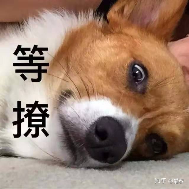 微商怎么发朋友圈营销文案？-第1张图片-90博客网