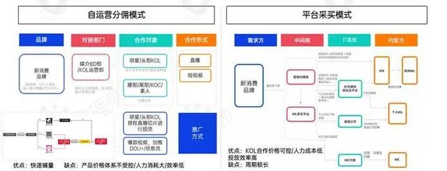 新消费品牌KOL营销的六大成功定律-第10张图片-90博客网