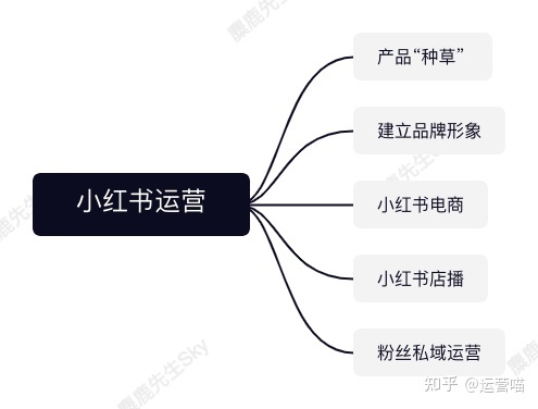 企业的小红书运营团队组织架构设计方案-第1张图片-90博客网 企业的小红书运营团队组织架构设计方案-第1张图片-90博客网
