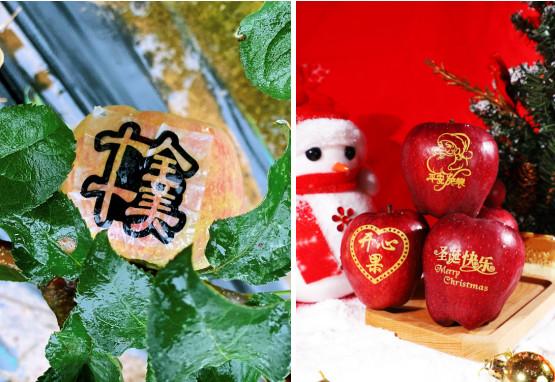 苹果穿上什么-(苹果穿上什么衣裳的拟人句)-第2张图片-90博客网