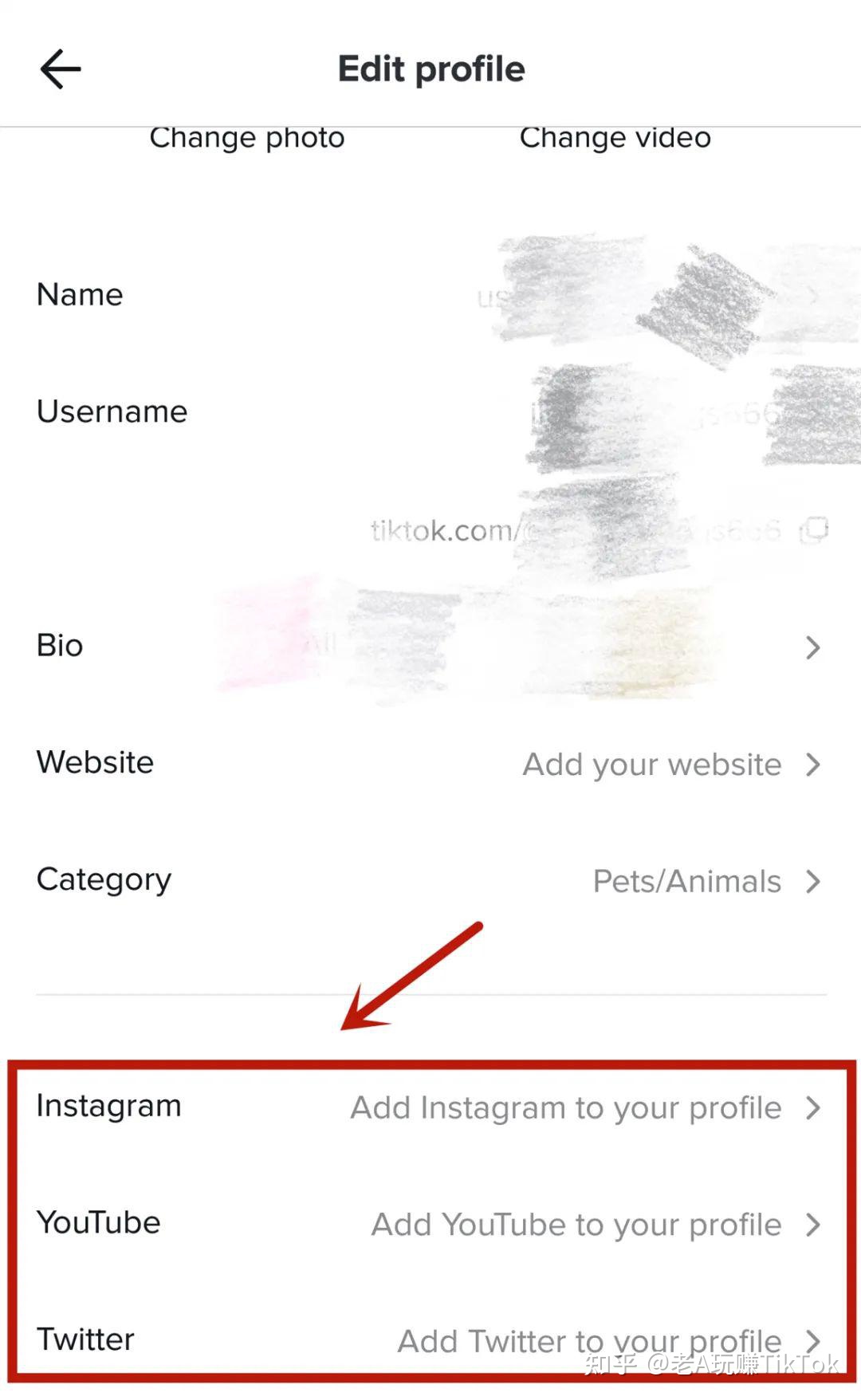 如何玩转TikTok营销？你想知道的一切都在这里-第25张图片-90博客网