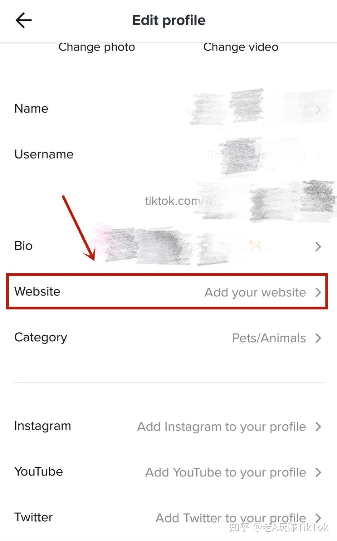 如何玩转TikTok营销？你想知道的一切都在这里-第23张图片-90博客网