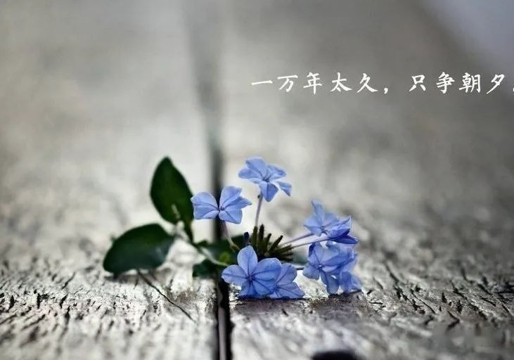 一场视频号直播前，都要准备些啥？-第27张图片-90博客网
