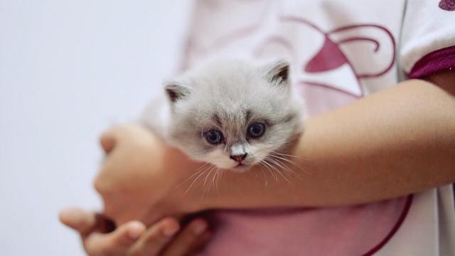 宠物益生菌是个好东西，可如果使用方法错了，钱就白花了-第3张图片-90博客网