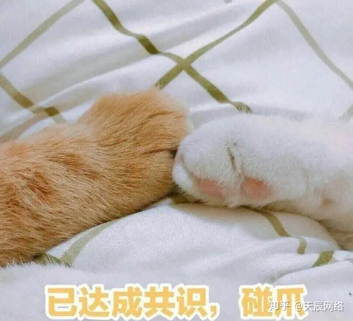 电商运营如何进行推广和数据分析?-第1张图片-90博客网 电商运营如何进行推广和数据分析?-第1张图片-90博客网