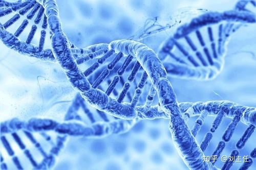 视频号,对企业意味着什么?-第3张图片-90博客网 视频号,对企业意味着什么?-第3张图片-90博客网