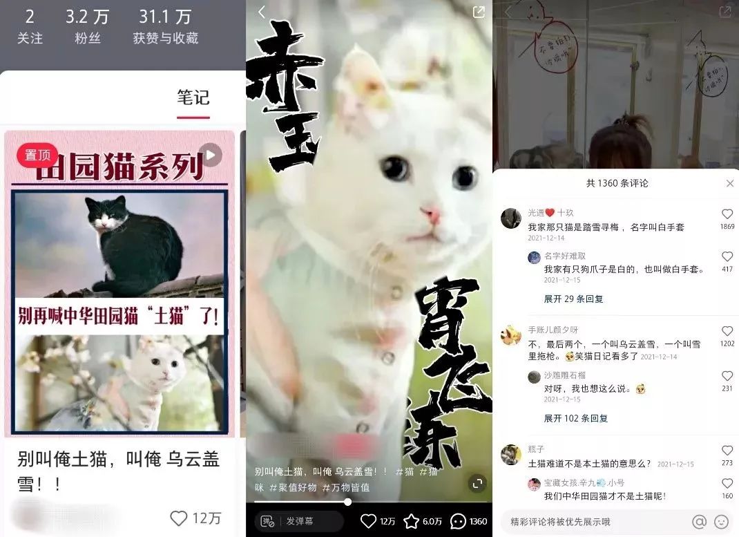 小红书运营:1年拆解5000篇爆文,换来一套流量密码-第8张图片-90博客网 小红书运营:1年拆解5000篇爆文,换来一套流量密码-第8张图片-90博客网