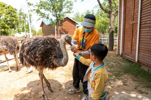 中秋小长假，郑州接待游客逾430万！实现旅游总收入逾20亿-第1张图片-90博客网