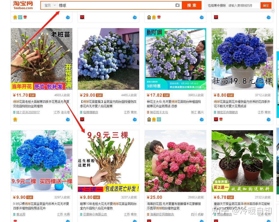 要毕业了,准备找电商运营助理的工作,但是没有经验,简历 ... ...-第6张图片-90博客网 要毕业了,准备找电商运营助理的工作,但是没有经验,简历 ... ...-第6张图片-90博客网