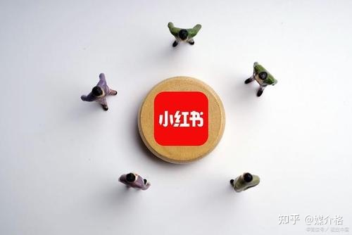 小红书如何推广产品-第2张图片-90博客网