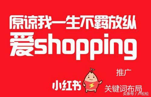 如何利用小红书推广营销，排名机制流出-第1张图片-90博客网