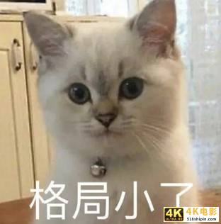 9倍溢价的爱马仕AirTag：我很贵，你还买不到-第1张图片-90博客网