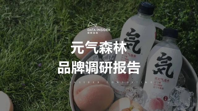 元气森林品牌营销方案-第1张图片-90博客网