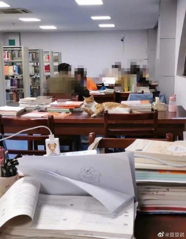 甜粽和咸肉粽要打起来了 | 冷段子1830-第23张图片-90博客网