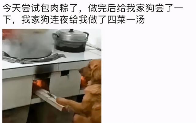 甜粽和咸肉粽要打起来了 | 冷段子1830-第35张图片-90博客网