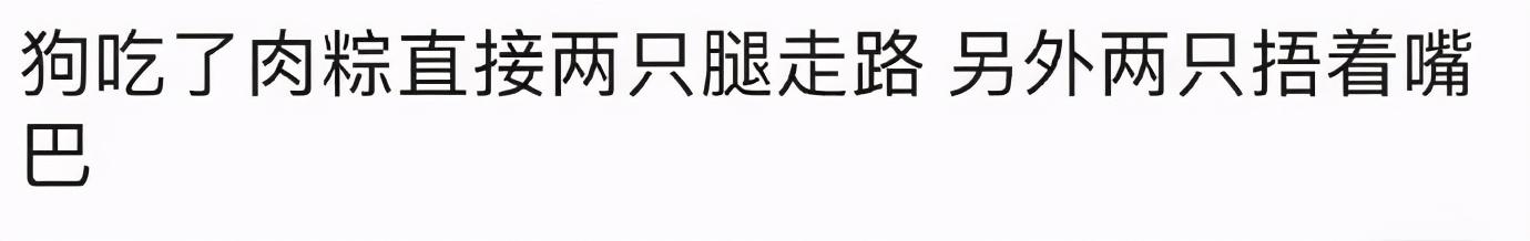 甜粽和咸肉粽要打起来了 | 冷段子1830-第34张图片-90博客网