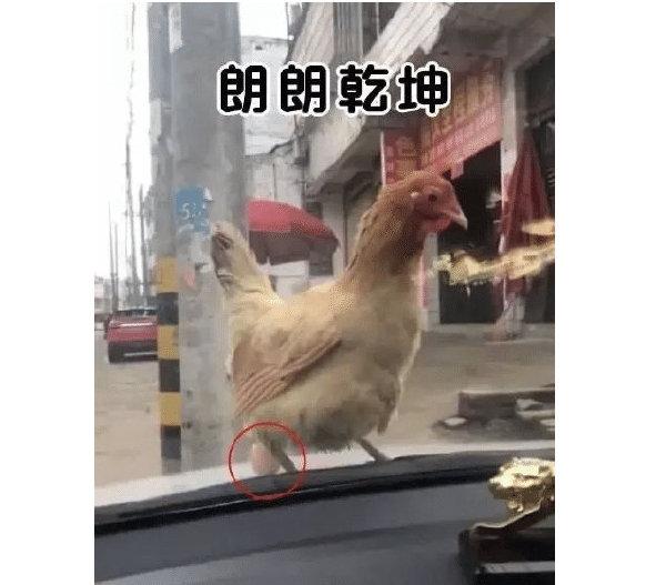 甜粽和咸肉粽要打起来了 | 冷段子1830-第67张图片-90博客网