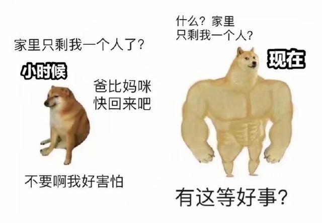 甜粽和咸肉粽要打起来了 | 冷段子1830-第90张图片-90博客网