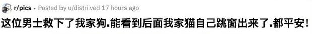甜粽和咸肉粽要打起来了 | 冷段子1830-第94张图片-90博客网