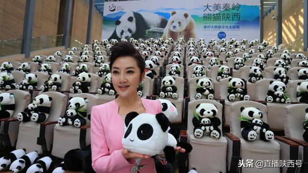 陕西秦岭大熊猫文化全球推广大使来啦，你知道是哪位美女吗？-第2张图片-90博客网