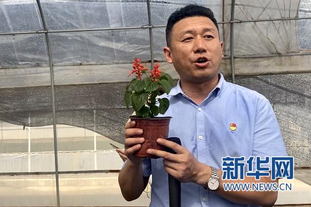 「走进红色美丽村庄」西安高陵区：传承红色基因 打造“两馆一堂一园多个教学点”-第4张图片-90博客网