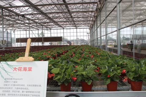 陕西高陵 从西北人民革命大学到美丽村庄-第5张图片-90博客网