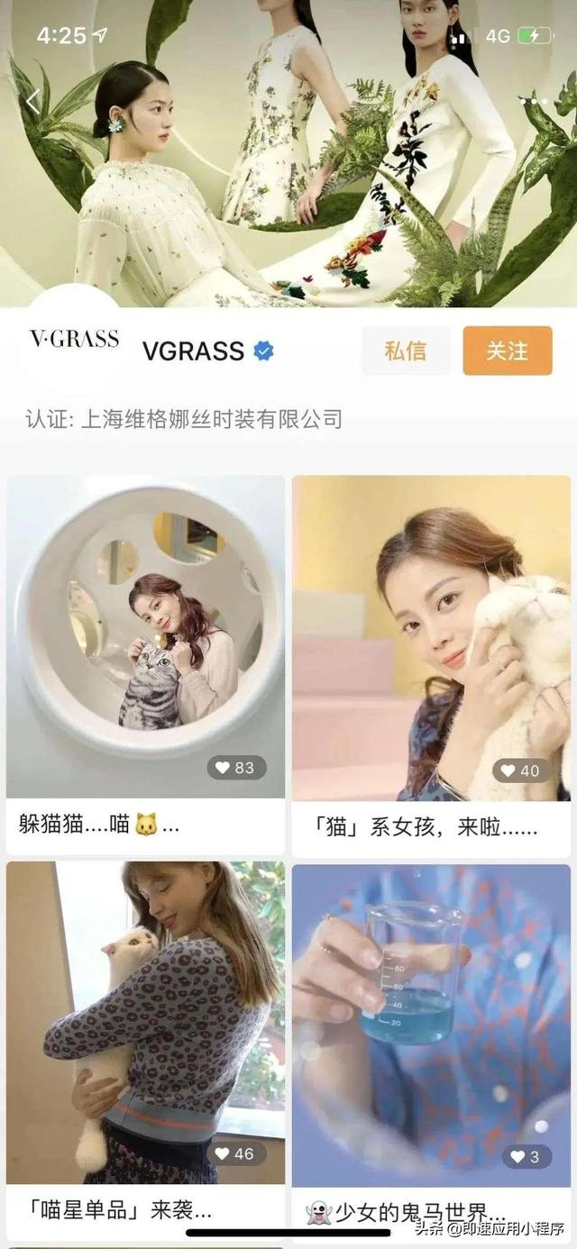 微信红包“破圈”营销,视频号带货还在等什么?-第2张图片-90博客网 微信红包“破圈”营销,视频号带货还在等什么?-第2张图片-90博客网