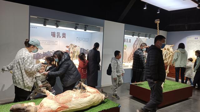 郑州有什么好玩的？郑州这9个景点不要错过，很多是免费的-第6张图片-90博客网
