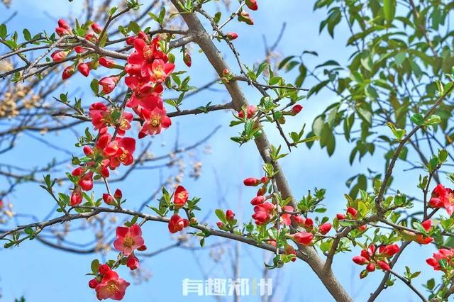 亲测 | 郑州本地游玩指南，五一假期不想走远的，快收藏-第80张图片-90博客网