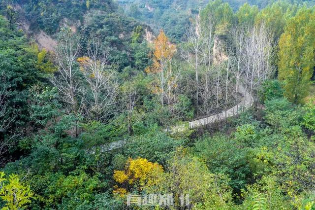 亲测 | 郑州本地游玩指南，五一假期不想走远的，快收藏-第77张图片-90博客网