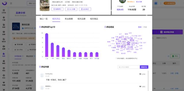 小红书内容营销3.0+KOL矩阵｜双11品牌案例-第15张图片-90博客网