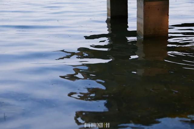 看海，兑现一场郑州夏日清凉白日梦-第5张图片-90博客网