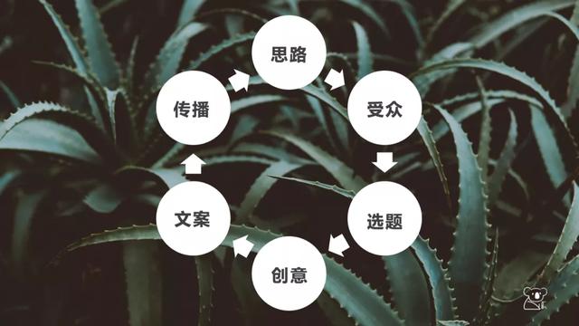 一个人怎么运营微信公众号？-第1张图片-90博客网