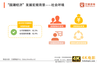 中国国潮经济发展报告 :年轻群体将释放市场消费潜力-第5张图片-90博客网
