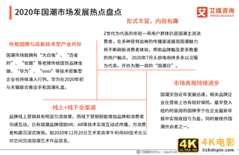 中国国潮经济发展报告 :年轻群体将释放市场消费潜力-第8张图片-90博客网