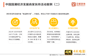 中国国潮经济发展报告 :年轻群体将释放市场消费潜力-第26张图片-90博客网