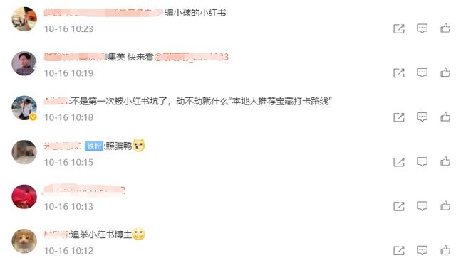 网友心态崩了：“我再也不相信小红书了！”卖假货、“种草"笔记代写、假名媛炫富……月活超1亿人的”国民种草机“又翻车-第9张图片-90博客网
