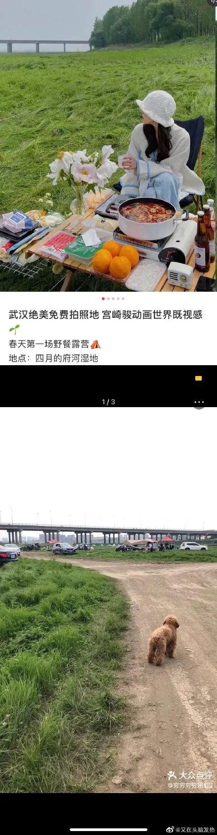 网友心态崩了：“我再也不相信小红书了！”卖假货、“种草"笔记代写、假名媛炫富……月活超1亿人的”国民种草机“又翻车-第11张图片-90博客网