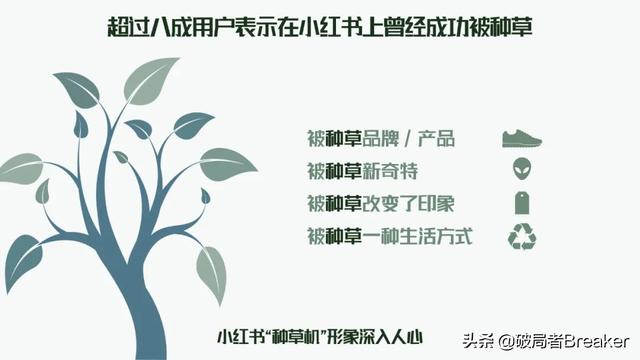 全域增长 | 万字梳理品牌小红书种草割草指南-第5张图片-90博客网