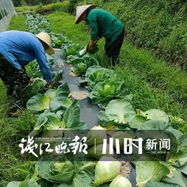 深夜寒风中，杭州男子每天背回200斤：天一冷，这样美食生意不错-第6张图片-90博客网