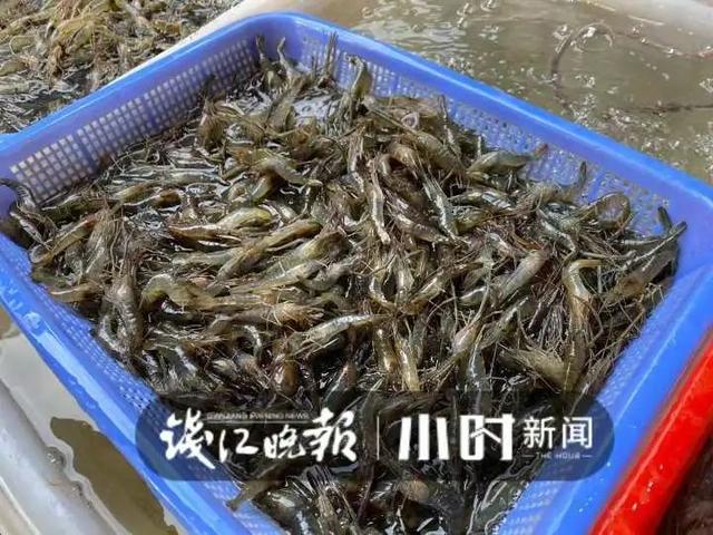 深夜寒风中，杭州男子每天背回200斤：天一冷，这样美食生意不错-第2张图片-90博客网