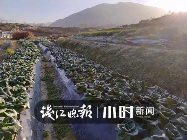 深夜寒风中，杭州男子每天背回200斤：天一冷，这样美食生意不错-第8张图片-90博客网