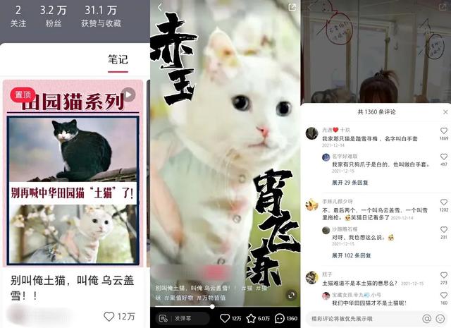 小红书运营:1年拆解5000篇爆文,换来一套流量密码(1月版)-第7张图片-90博客网 小红书运营:1年拆解5000篇爆文,换来一套流量密码(1月版)-第7张图片-90博客网