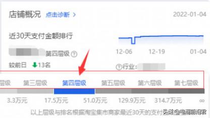 深度解析淘宝店铺层级与流量的关系，以及不同层级各自的运营方法-第1张图片-90博客网