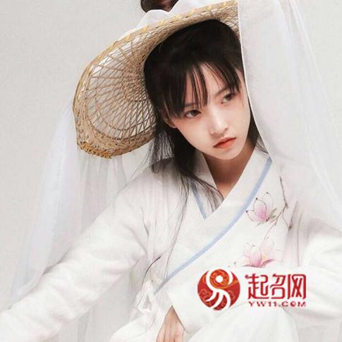 饱含诗意的罕见古风网名，不食人间烟火！-第3张图片-90博客网