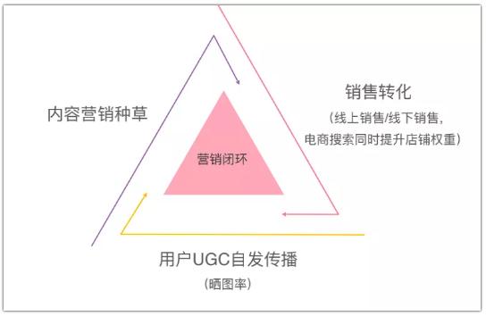 7分种草+3分营销，揭秘集运企业小红书营销玩法-第3张图片-90博客网