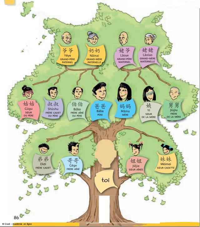 孩子辈分不会排很尴尬，最全的中国式关系图谱和最新姓氏排名来啦-第3张图片-90博客网