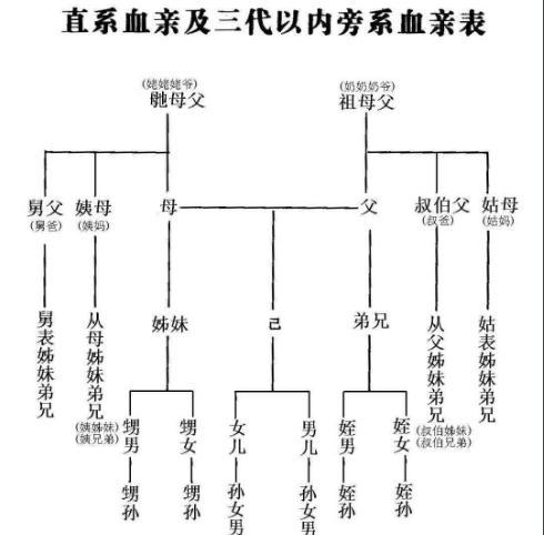 孩子辈分不会排很尴尬，最全的中国式关系图谱和最新姓氏排名来啦-第7张图片-90博客网